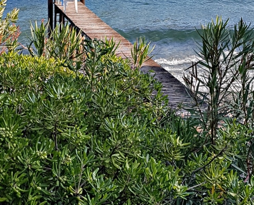 gardasee-ferienwohnung-direkt-am-see-3