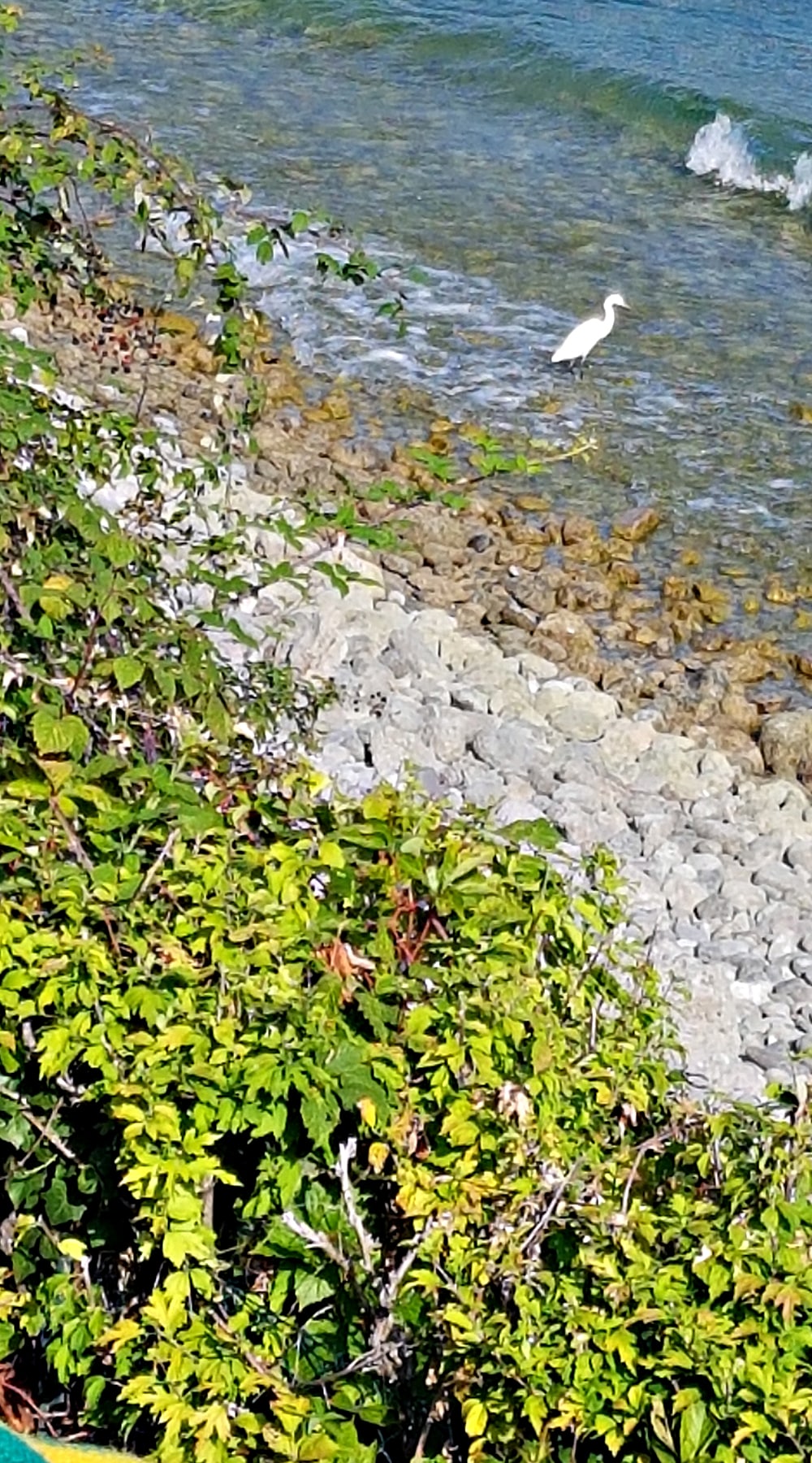 gardasee-ferienwohnung-direkt-am-see-5